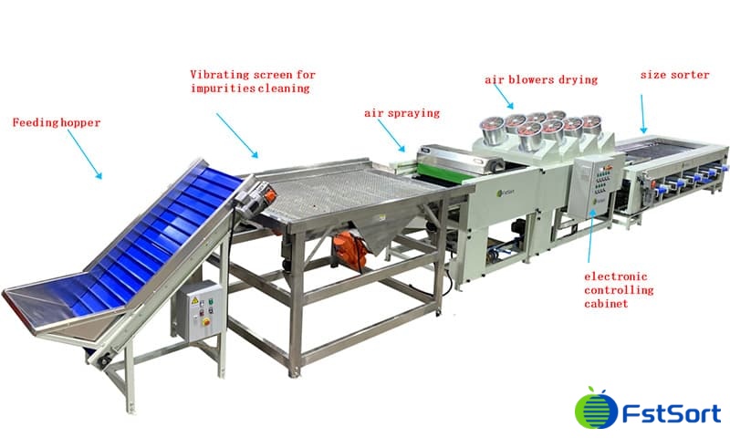 images/1648800282292jujudes sorter.jpg